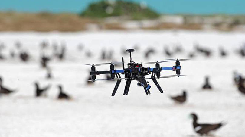 Guardiões aéreos: estudo mostra que os drones são os olhos que faltavam na luta pela preservação.