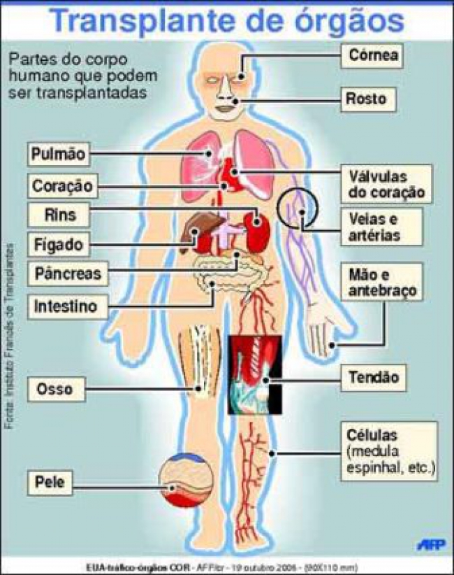 Acolhemos com satisfação, achamos nós que teremos que triplicar esta informação aos demais, para que de facto saibam que fazer transplante