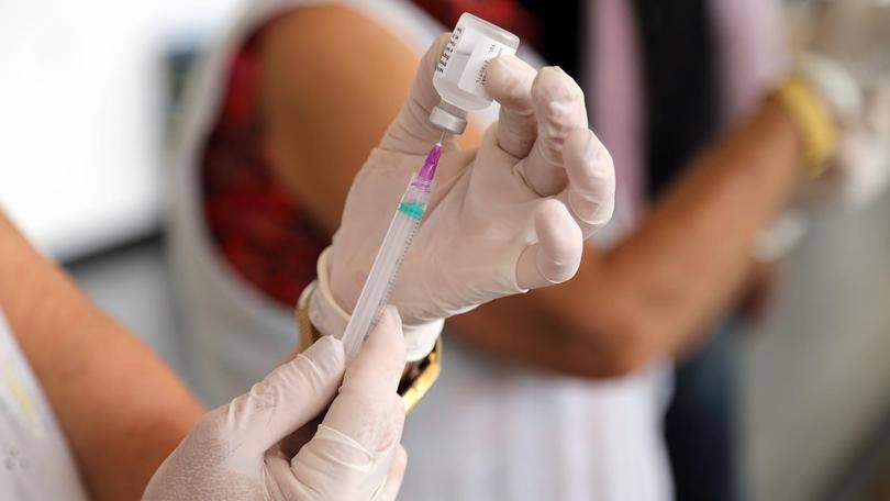 Vacina: macacos e macacas tratados com uma das vacinas e depois infectados com Zika não apresentaram níveis detectáveis do vírus