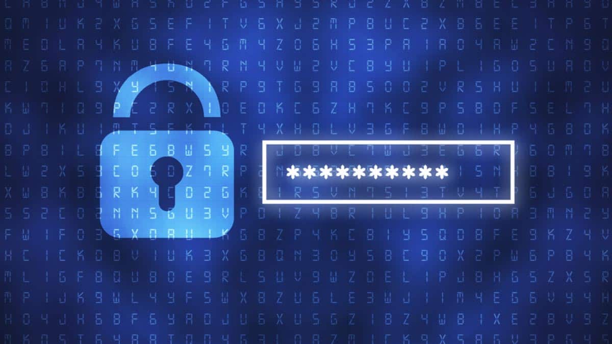 Observatório de Cibersegurança do CNCS refere incidentes com passwords como um dos maiores problemas de 2021