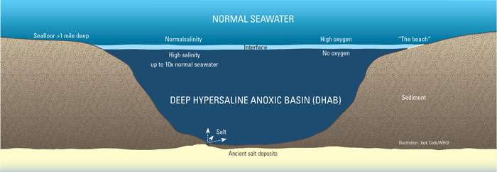 Profundo hypersaline Anoxic bacias, ou DHABs, são lagos de ultra-salgada, água sem oxigênio mais de uma milha abaixo da superfície do oceano.
