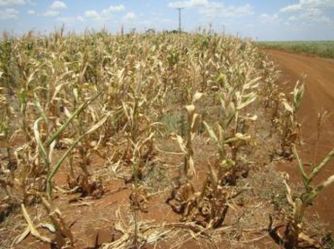 O governador de Manica orienta, esta segunda-feira, a reunião da comissão técnica de emergência