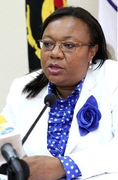  Comissão eleitoral estuda possibilidade de voto de angolanos no estrangeiro