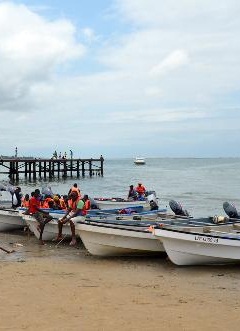 O facto foi revelado esta segunda-feira, em Luanda, pela ministra das Pescas, Victória de Barros Neto, durante a abertura do workshop sobre o projecto de apoio à fileira da "Espirulina"