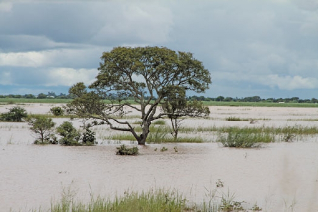 ALERTA PARA OBSERVÂNCIA DAS MEDIDAS DE PRECAUÇÃO, PARTICULARMENTE NAS BACIAS DO LIMPOPO E SAVE