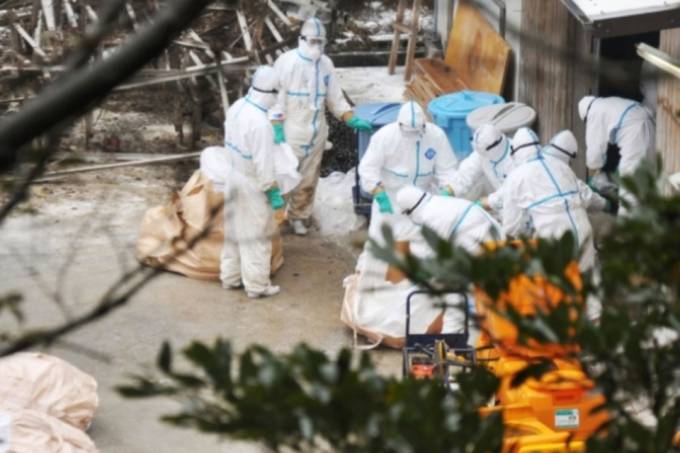 Mortes de janeiro foram até quatro vezes maiores do que as do mesmo mês dos últimos anos