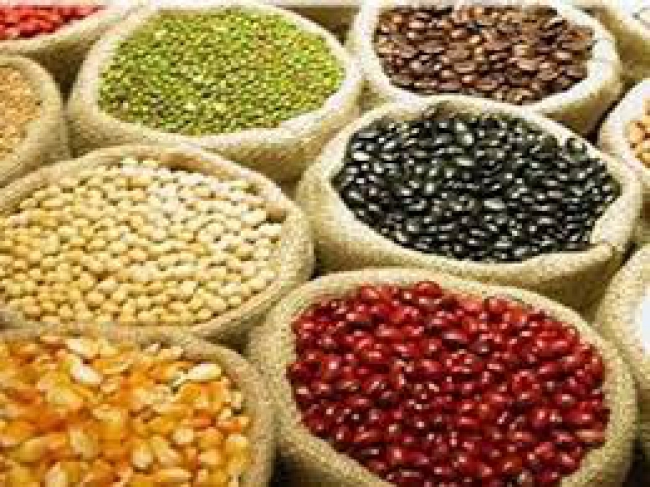 PRODUTORES NÃO DEVEM VENDER TODOS OS EXCEDENTES