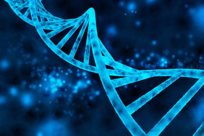 Quase 98% do genoma é formado por DNA não codificante, material genético que, até pouco tempo, cientistas acreditavam que não tinha nenhuma função