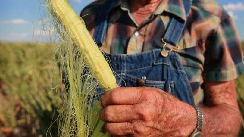 Extremos: maioria dos óbitos relacionados aos efeitos do clima na produção de alimentos ocorrerão na China e Índia.
