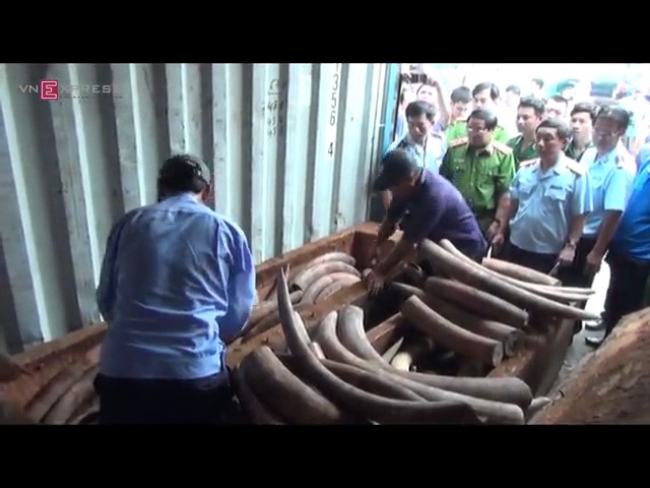 MARFIM MOÇAMBICANO DESCOBERTO NO CAMBOJA