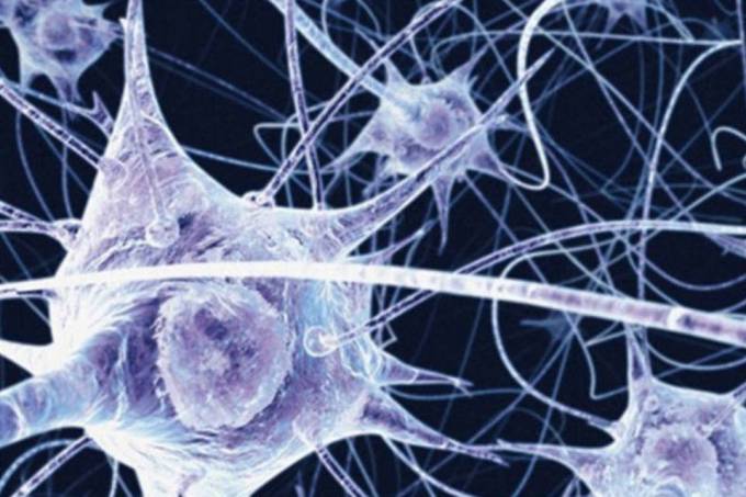 Testes estão sendo feitos para investigar até que ponto os neurônios em cultura conseguem reconhecer padrões de estimulação elétrica