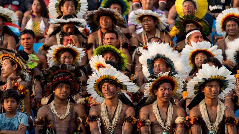 Indígenas: 700 índios falam kuikuro, sendo que os critérios internacionais determinam que uma língua corre risco de extinção se falada por menos de mil pessoas