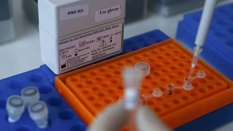 Zika: a primeira fase da pesquisa se dedicou a reunir todos os 40 mapeamentos de variedades do zika feitos no mundo até agora