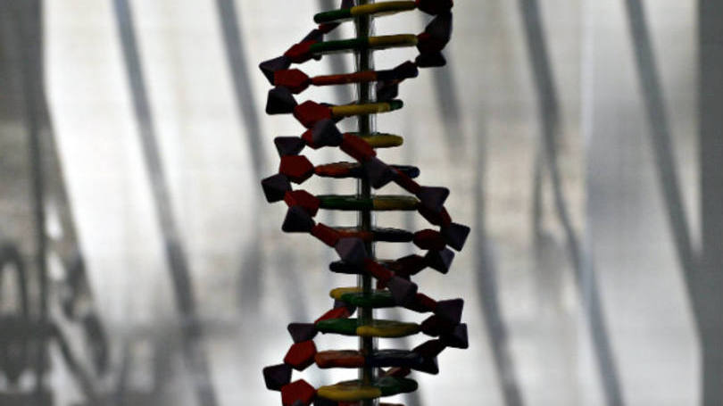 Genética: foram descobertos no total 93 conjuntos de instruções ou genes, que, se mutarem, podem causar tumores