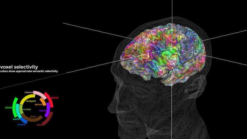 Mapa das palavras: para criar o mapa, os pesquisadores analisaram a atividade mental de sete falantes de inglês
