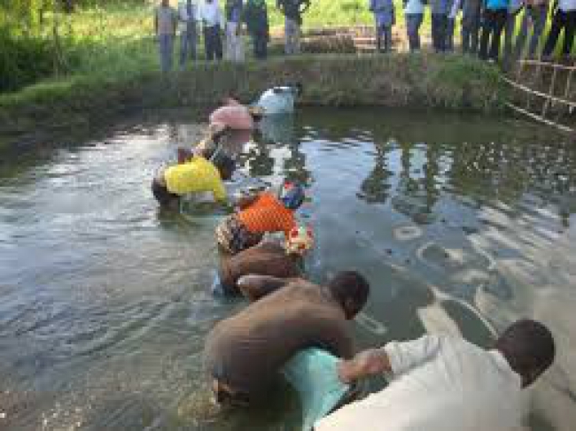 AQUACULTURA: INHAMBANE VAI PRODUZIR RAÇÃO PARA PEIXE