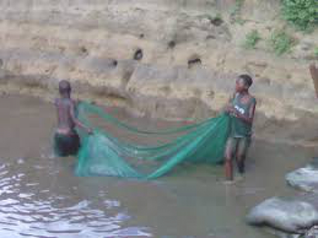 INHAMBANE: APREENDIDAS MAIS DE MIL REDES MOSQUITEIRAS USADAS PARA PESCA