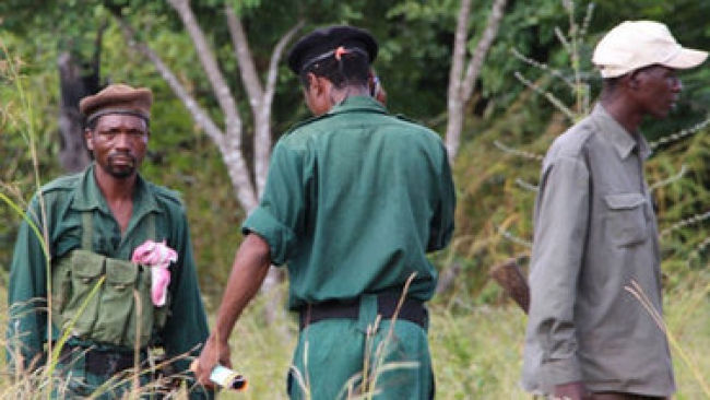 RENAMO DEVE CESSAR ATAQUES CONTRA CIVIS E FDS–ADMINISTRADOR DE CHOMOIO