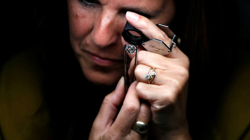 China Na China, cachorro é fotografado enquanto participa de treinamento pelas forças policiais chinesas em Guiyang.