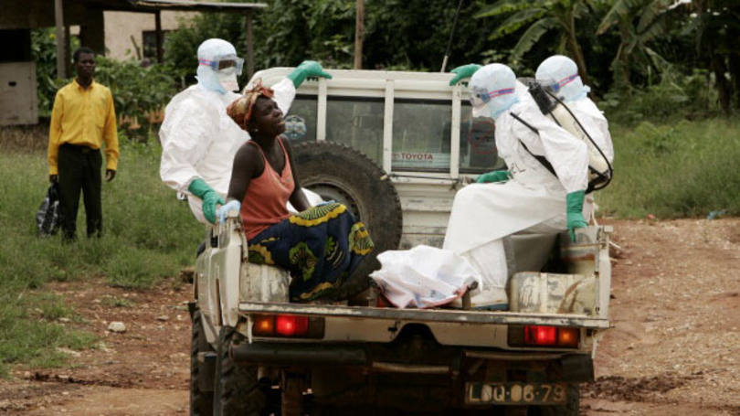 Febre hemorrágica: a doença se caracteriza pelo começo súbito de febre, dores de cabeça, mialgias generalizadas, dores nas costas, conjuntivite e prostração severa