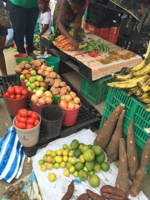 Numa altura em que se fala tanto da diversificação da economia