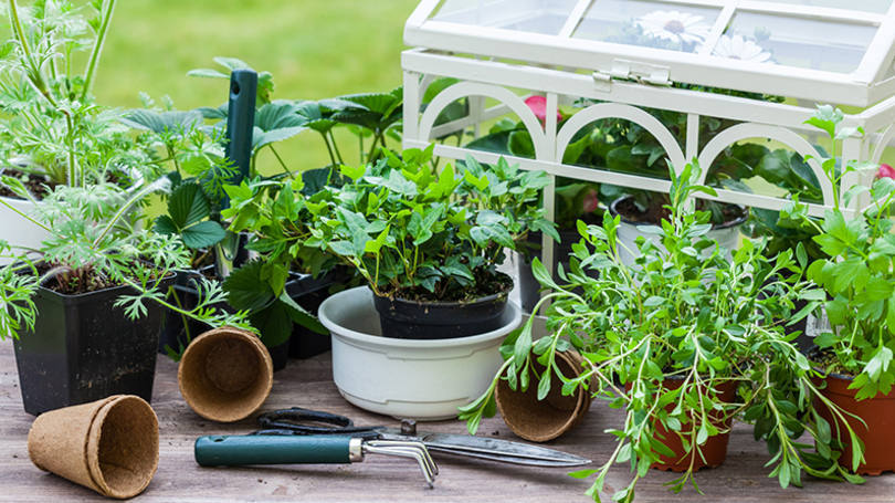 Falando no assunto...Veja 7 projetos criativos de jardins de inverno