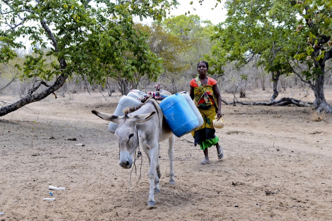 Mais de duzentas famílias afectadas pela seca no distrito de Magude, província de Maputo