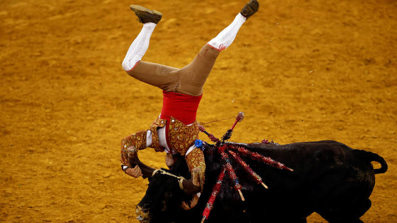 Portugal Imagem mostra cenas de uma tourada em Campo Pequeno, Lisboa.