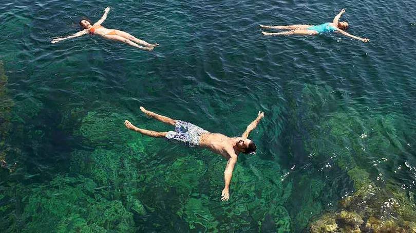 Pesquisa: aumento da temperatura pode alterar drasticamente o padrão de salinidade das águas costeiras.