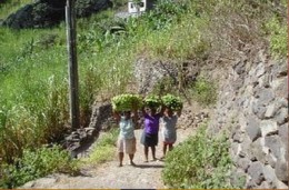 A aplicação do Plano de Cargos, Carreiras e Salários, “PCCS”, e o pagamento dos respectivos retroactivos de acordo com a lei, e as promoções