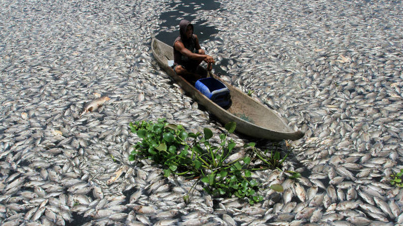 Indonésia

Foto mostra um homem em uma embarcação de madeira navegando no Lago Maninjau. De acordo com a Reuters, uma mudança nas condições da água reduziu os níveis de oxigênio, fazendo com que milhares de peixes morressem.