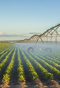 O contracto no valor de 370 milhões de dólares, válido por sete anos com uma extensão possível por mais cinco, visa obter uma produção anual de 60 mil toneladas de produtos agrícolas