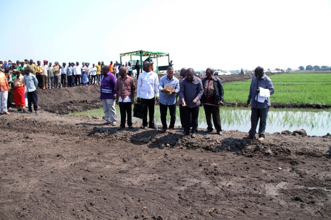 O Presidente moçambicano, Filipe Nyusi, diz que a avaliação preliminar da Campanha Agrária 2015/2016 indica que a produção global, durante este período, apresenta resultados encorajadores, apesar do cenário grave de estiagem.