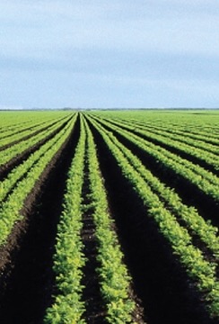 O Banco de Poupança e Crédito (BPC) e o Banco Africano de Desenvolvimento (BAD) assinaram recentemente, em Luanda, um acordo de financiamento, avaliado em 325 milhões USD