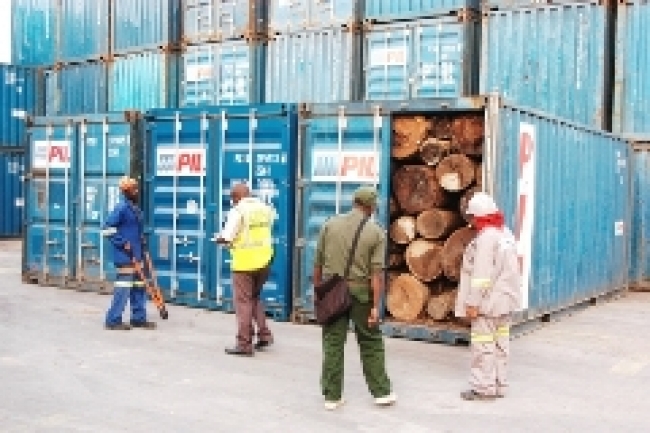 AUTORIDADES APREENDEM MIL E TREZENTOS CONTENTORES DE MADEIRA NA PROVÍNCIA DE NAMPULA