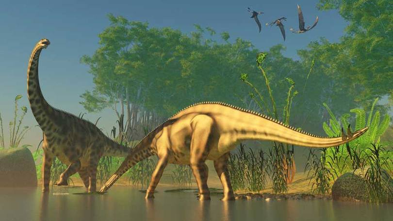 Psitacossauro: existem centenas de fósseis individuais do psitacosauro, que significa "lagarto papagaio"