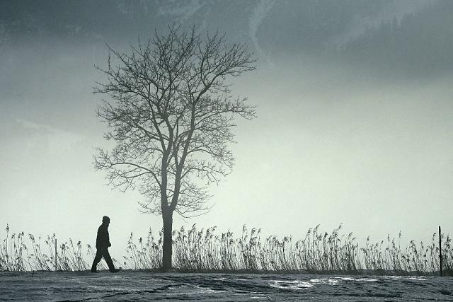 austríaco aprova lei da eutanásia