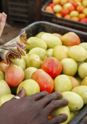 Verdadeira reserva alimentar só com produção interna, dizem especialistas angolanos
