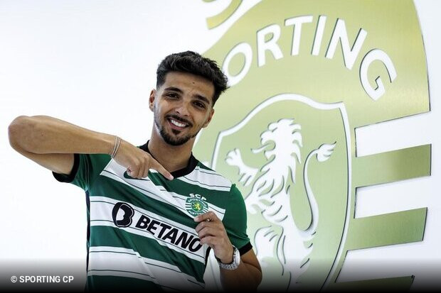 o caminho do novo reforço leonino