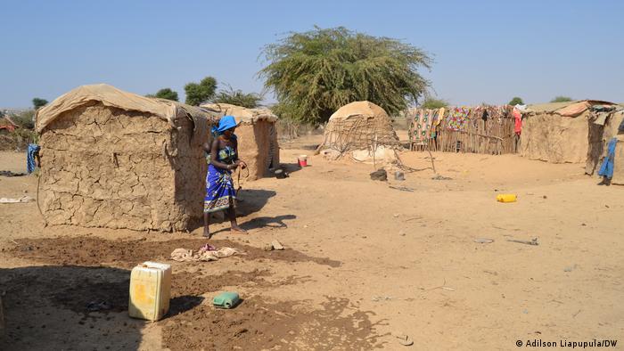 Surto de sarna "tira o sono" no Namibe