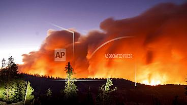 Terra escaldante: Copernicus regista os sete anos mais quentes