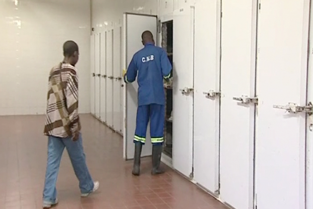 Desaparecimento e troca de cadáveres na morgue do Hospital Central da Beira