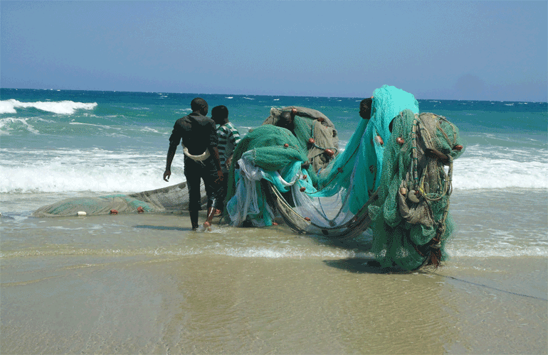 Cerca de 2 mil pescadores artesanais poderão ser abrangidos pelo Registo Electrónico do Pescador
