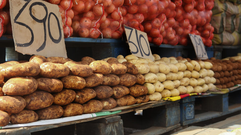 Rússia quer intercâmbio com Moçambique para exportação dos seus produtos