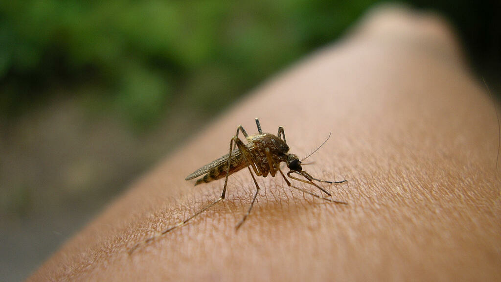Angola celebra Dia Mundial da Malária