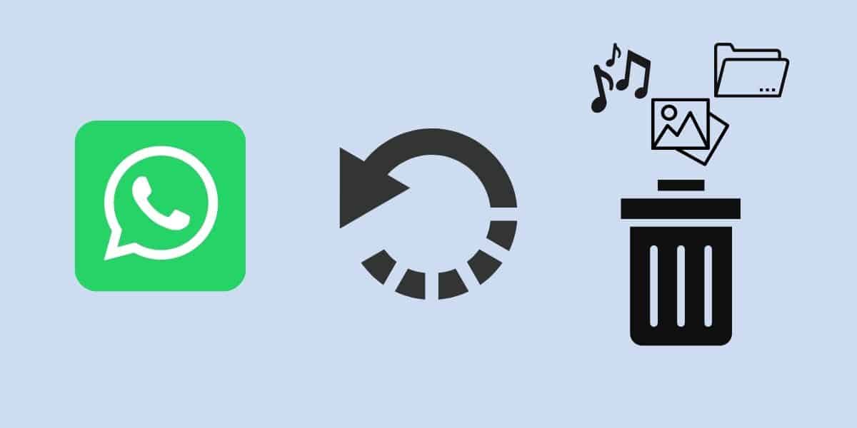 Quer recuperar ficheiros e chats do WhatsApp? O iSeeker é a solução