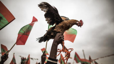 UNITA defende "diálogo permanente" em Angola