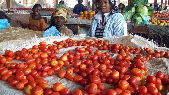 Moçambique pretende adoptar preço de referência para produtos básicos