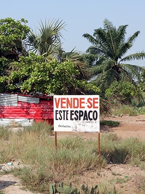 Políticos, deputados e magistrados usurpam terras