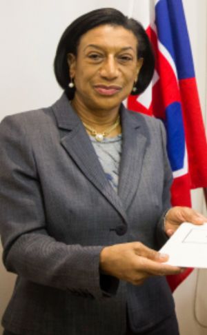 Diplomata angolana acredita junto da ONU